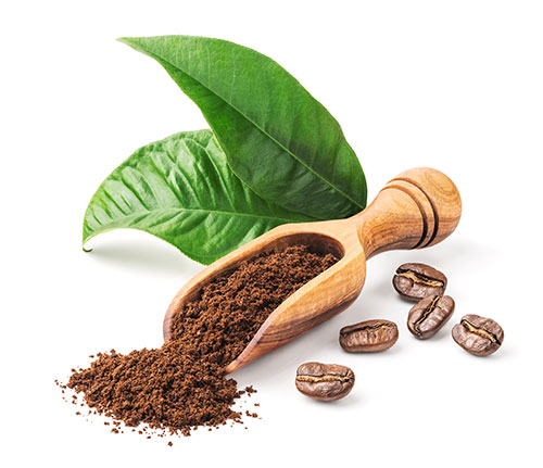 Coffee Beans and Grounded Coffee Coffee Beans and Grounded Coffee
