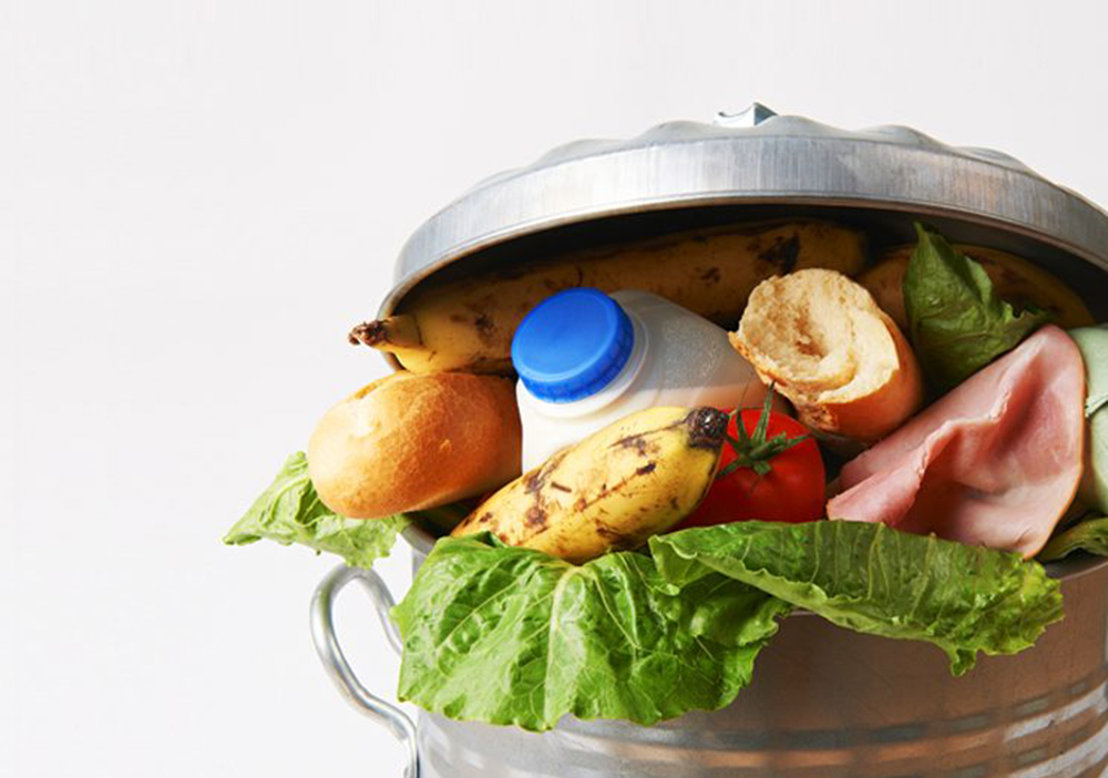 foodwaste-thumbnail