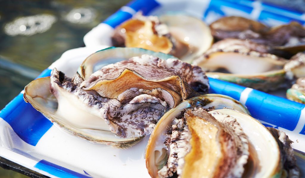 abalone