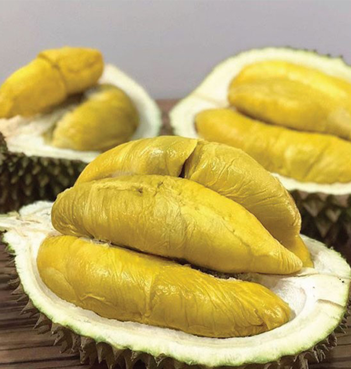 black durian-691x426
