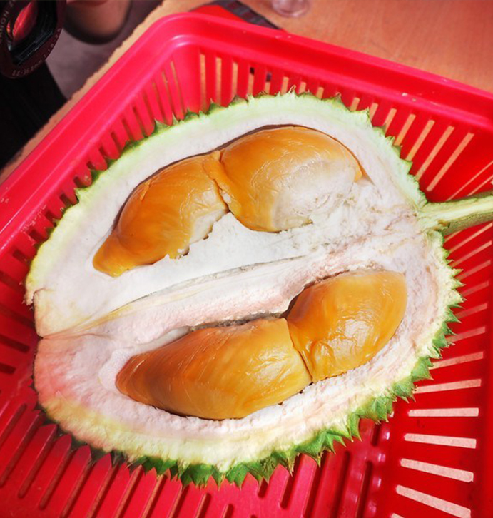 sgredprawndurian-featured-mobile-691x426