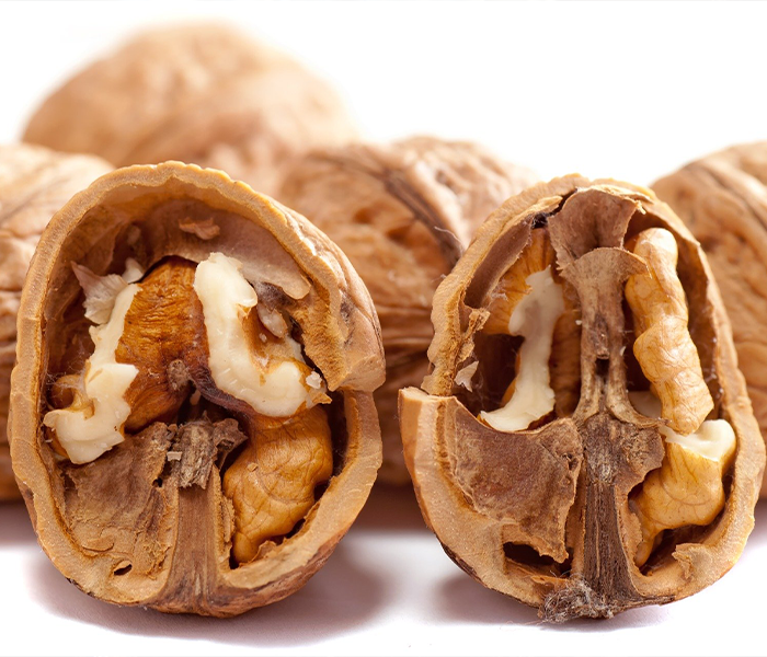 walnut