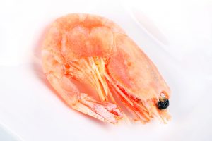 Prawn