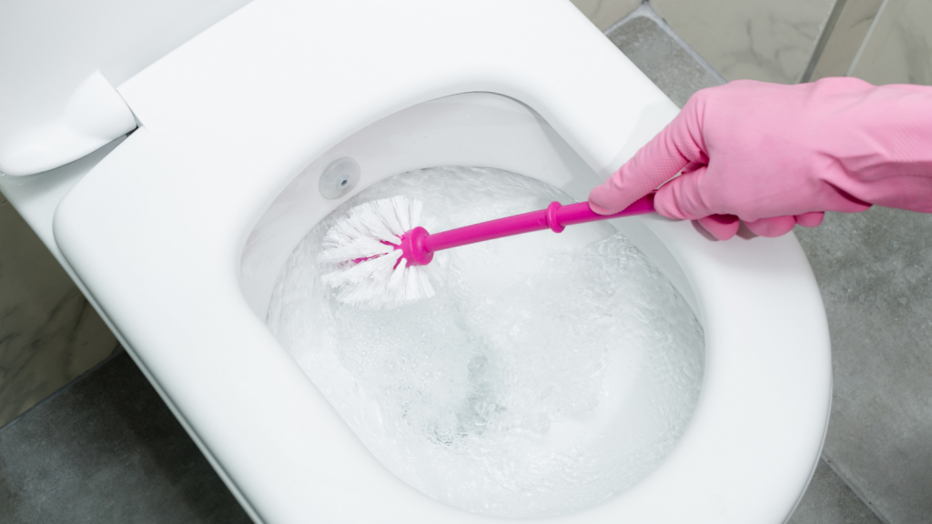 Hand in pink rubber glove using a pink toilet scrubber in a white toilet bowl