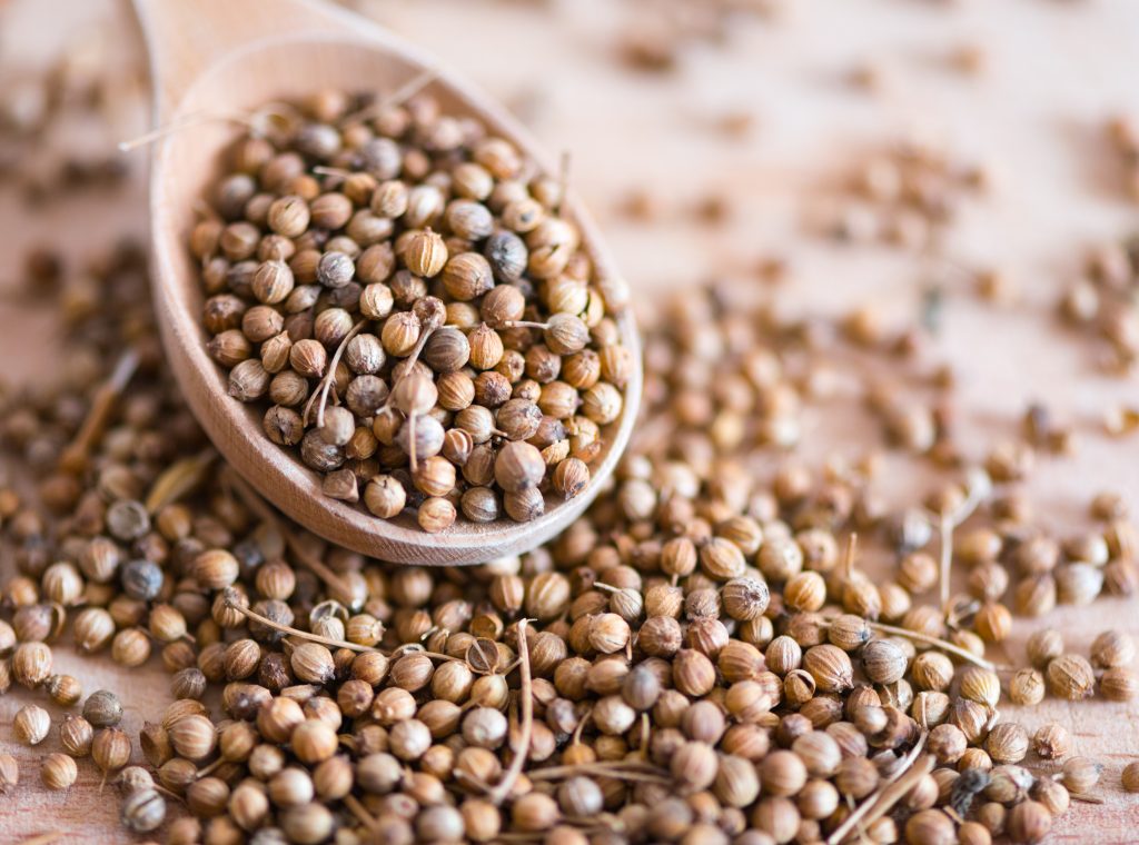 coriander seeds, close-up