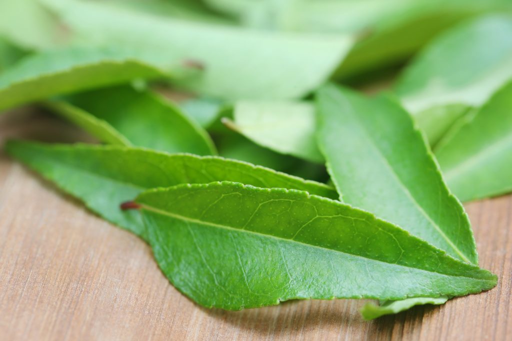 Curry Leaves on timber surface