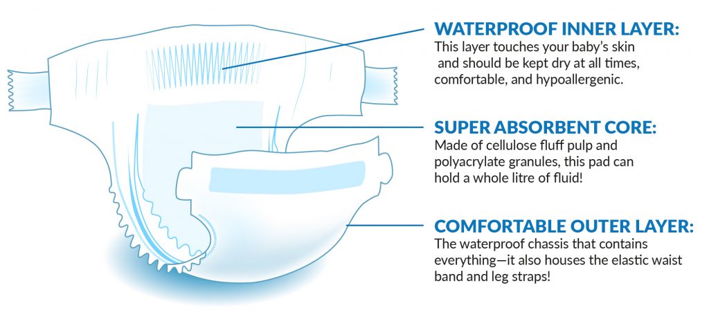 Baby diaper anatomy diagram