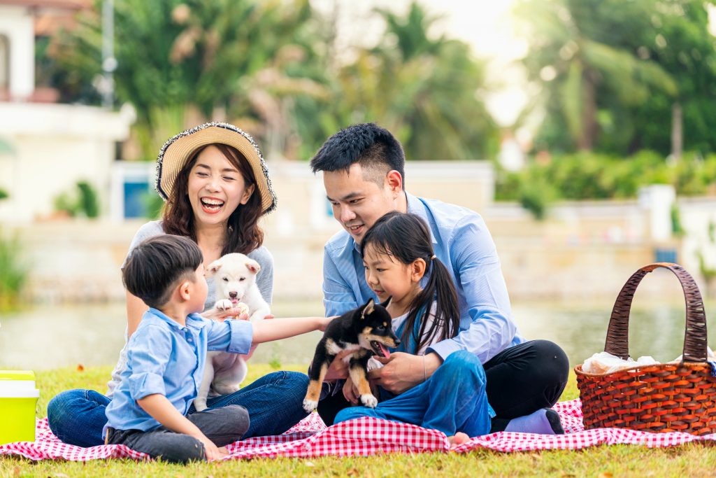 An,Asian,Family,Plays,With,A,Shiba,Inu,Dog.,Happy
