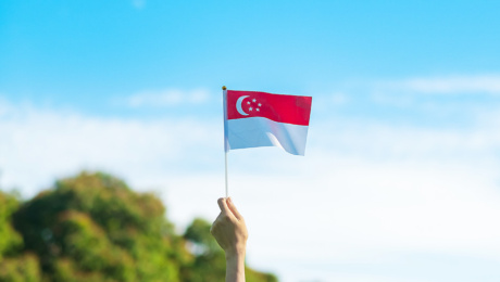 A hand holding the Singapore flag against a blue sky, with trees in the background