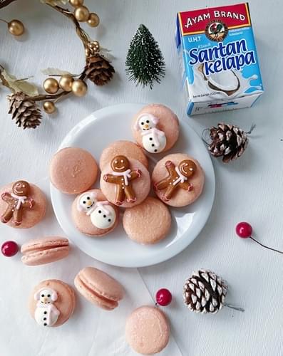 Christmas Coconut Macarons