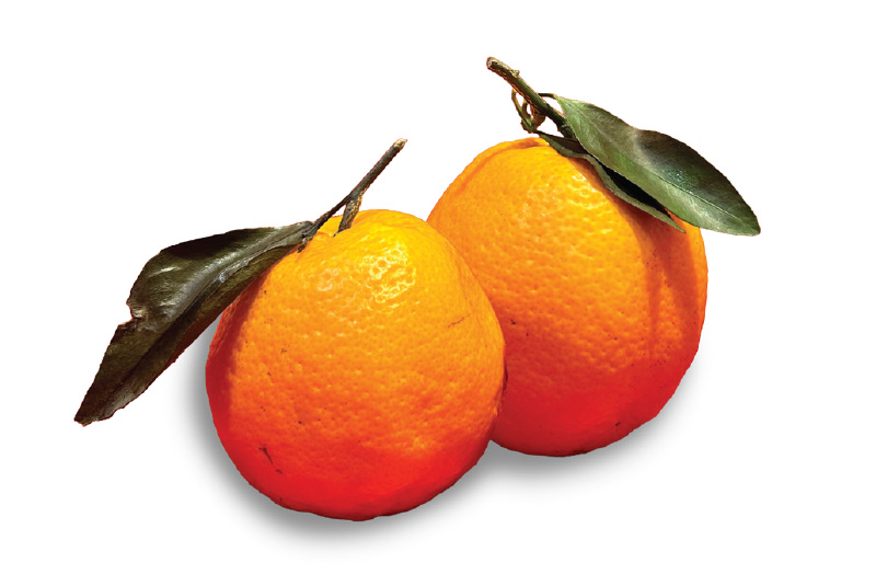 SKU-Mandarin-Oranges-PaPaGan-v3 Mandarin Orange - Papagan