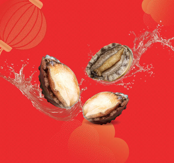 NTUC95127OP_CNY-2026_In-app&Wordpress-Page_Banner_600x562px_R6_P_Abalone