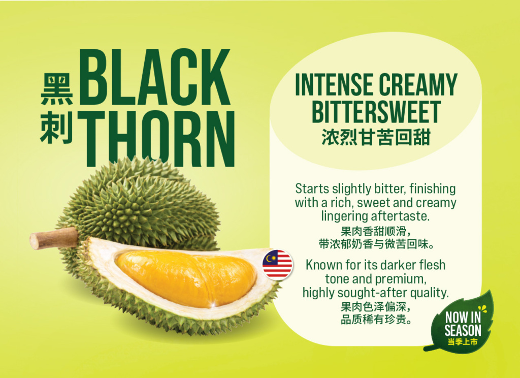 Durian_Black-Thorn_PEC_A3_EngChi